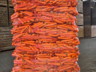 I am selling edible carrots, washed, with a beautiful
