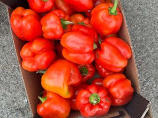 Hello, I am selling peppers