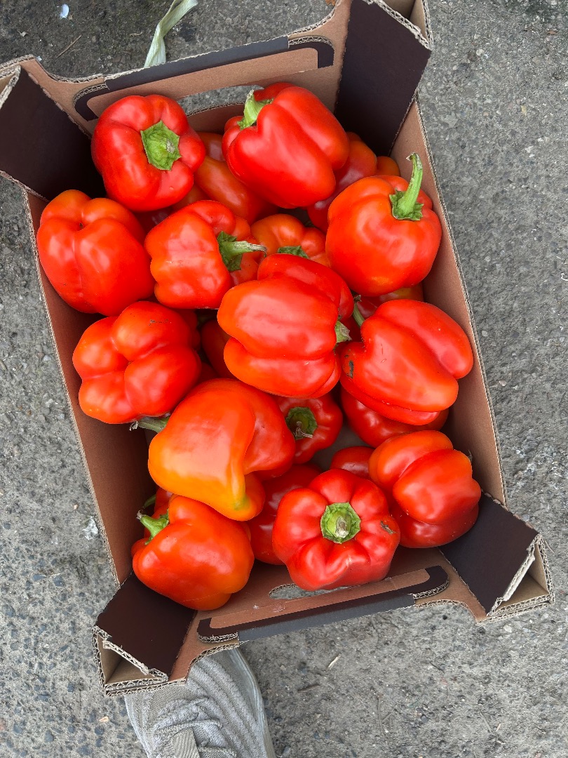 Hello, I am selling peppers