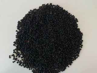 OFFER: Dried black elderberry We offer carefully dried black