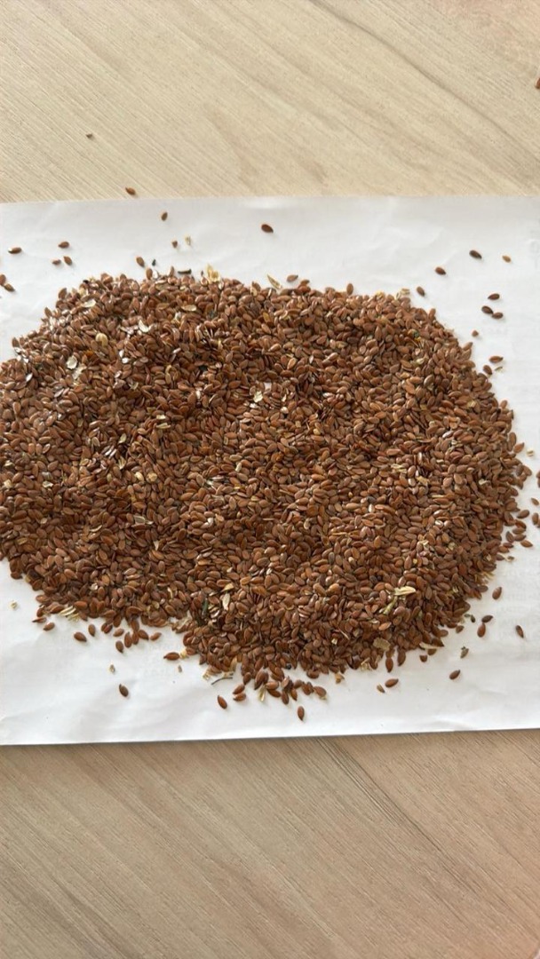 OFFER: Brown flax We offer cleaned premium quality brown flax seeds for the food and feed industry