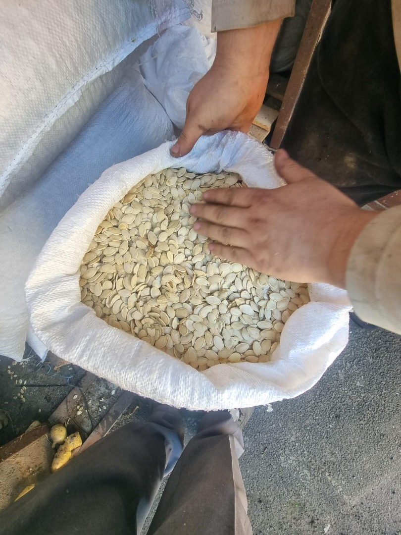 OFFER : Unshelled Pumpkin We offer the highest quality dried, unshelled pumpkin seeds for the food and feed industry