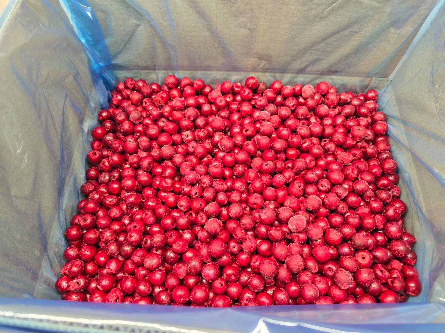 IQF sourcherries pitted 1cl