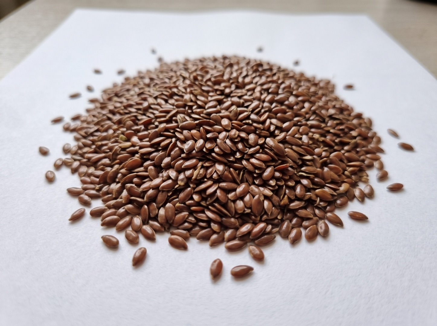 NOVATORG LLC offers brown flaxseed from Ukraine, 2026 crop, for wholesale buyers and international trade partners