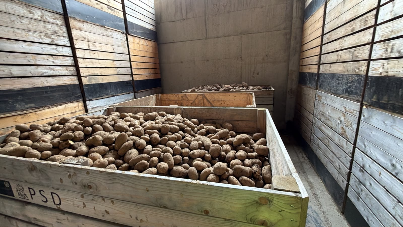 POTATO WHOLESALE – POLAND AND THE EU