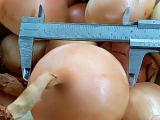 Onions for sale! Available in ton quantities. Visitors are