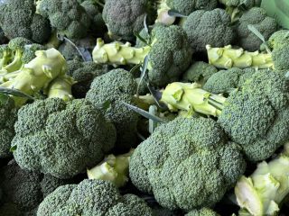 Broccoli for sale. Regular deliveries, stable contractor.