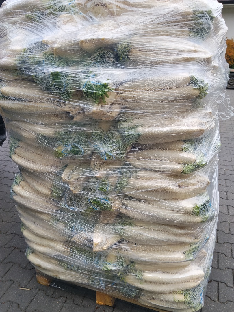 I will sell commercial and industrial white radishes