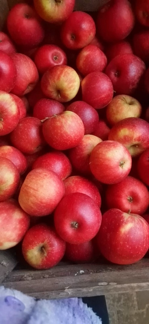 Apples of different varieties