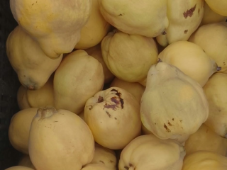 Our Székelyföld family farm offers 200m2 of quince for