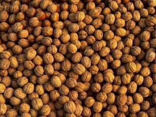 I am selling Bulgarian Chandlar walnuts, not calibrated, in