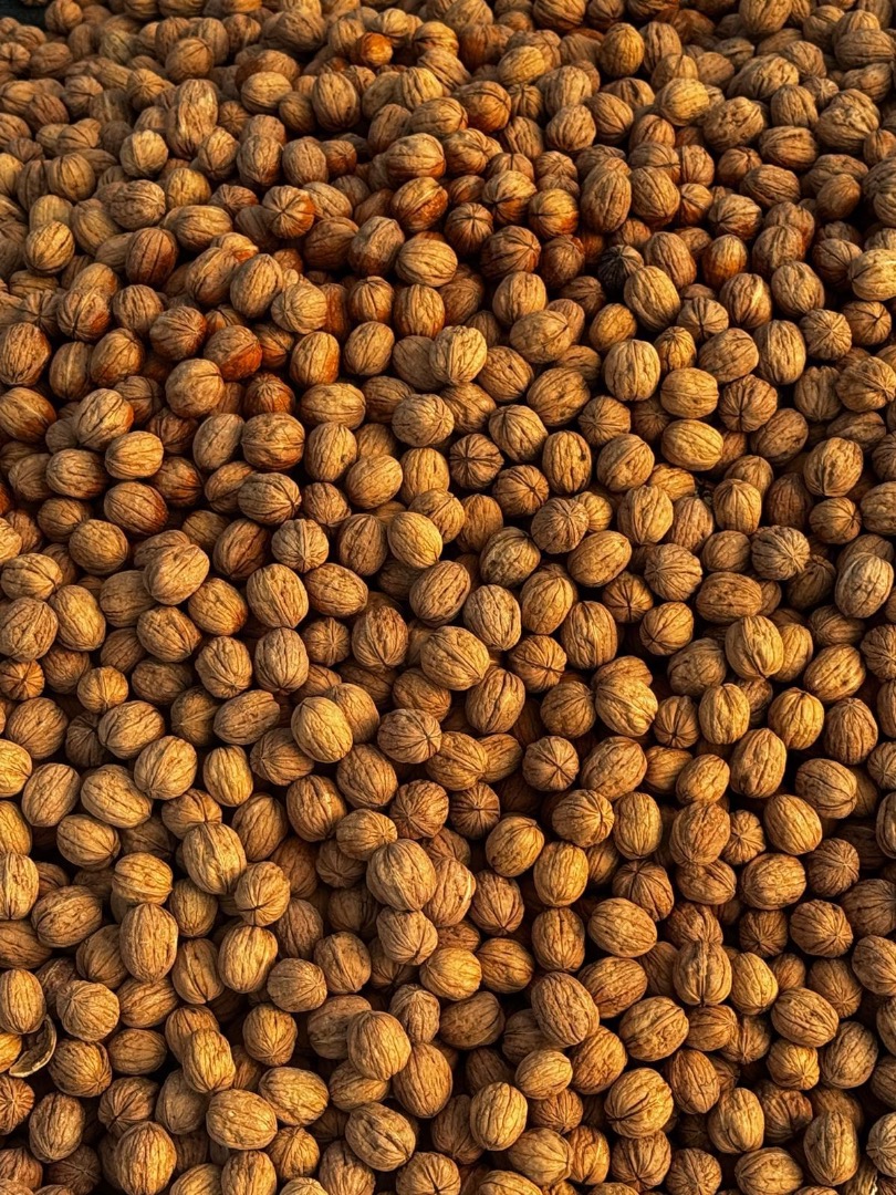 I am selling Bulgarian Chandlar walnuts, not calibrated, in shell, harvest 2026