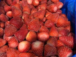 We offer: Frozen strawberries, calibrated and uncalibrated, grade 1,
